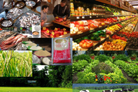 Marketing and Value Chain Management in Agriculture